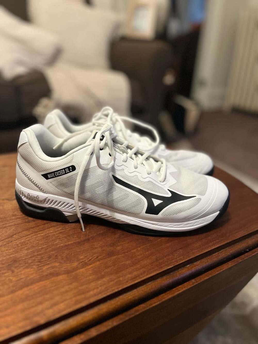 Mizuno Wave Exceed SL 2 Tennis Shoes White Black